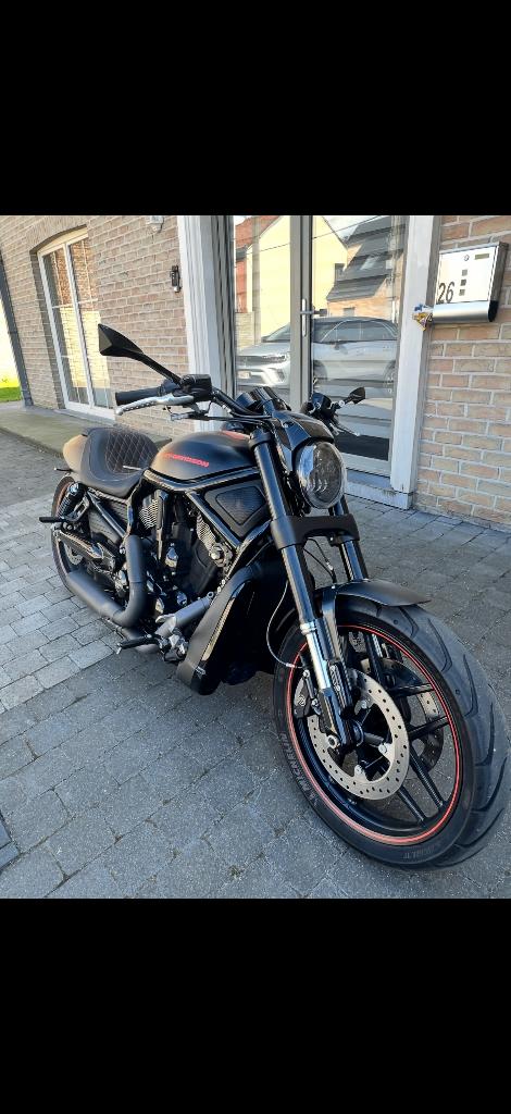 Harley Davidson night rod, Motos, Entreprise, Plus de 35 kW, 1250 cm³, 2 cylindres