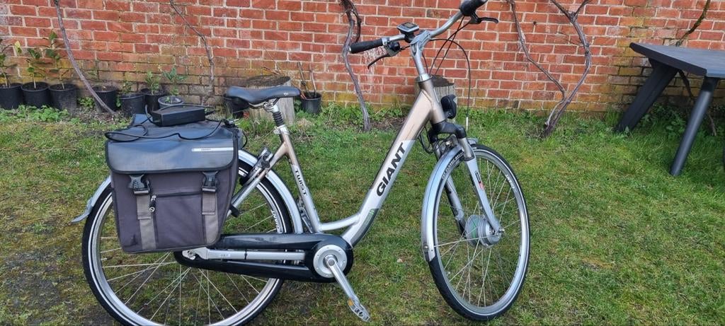 Elektrische fiets GIANT met twee batarij goed staat 8 versne, Fietsen en Brommers, Ophalen of Verzenden, Giant