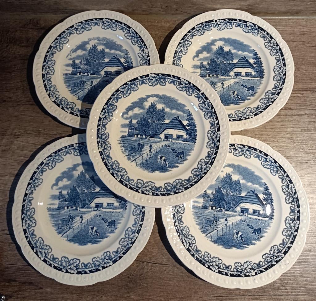 Assiettes Maestricht x5, Ophalen of Verzenden