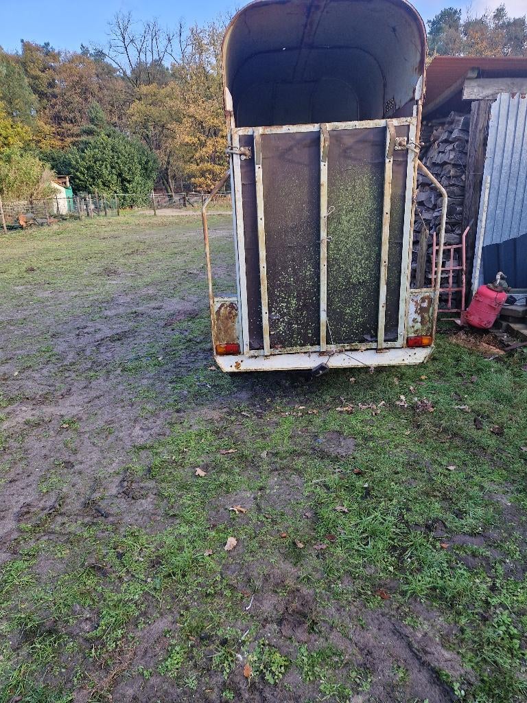 Paardentrailer, Dieren en Toebehoren, Paarden en Pony's | Trailers en Aanhangwagens, Ophalen