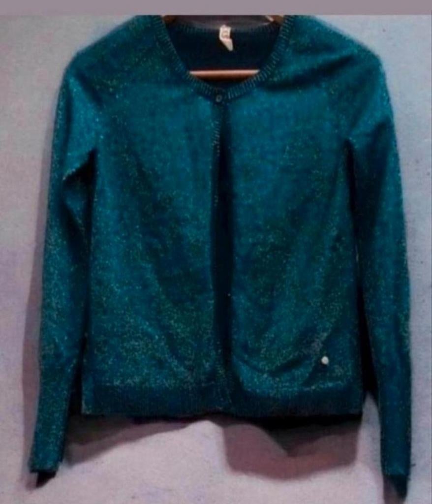 ✨️CKS Vest Maat 34/36 - Met BUNDELKORTING‼️✨️, Blauw, Ophalen of Verzenden, Zo goed als nieuw, Maat 36 (S)