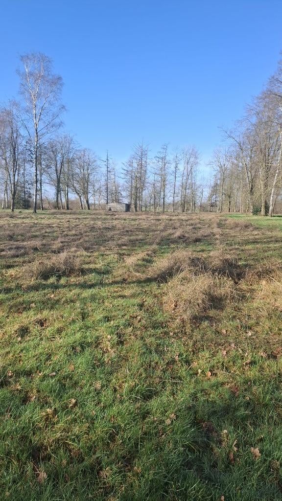 1,5ha grond te huur - volledig omheind, Immo, Gronden en Bouwgronden, OUDSBERGEN, 1500 m² of meer
