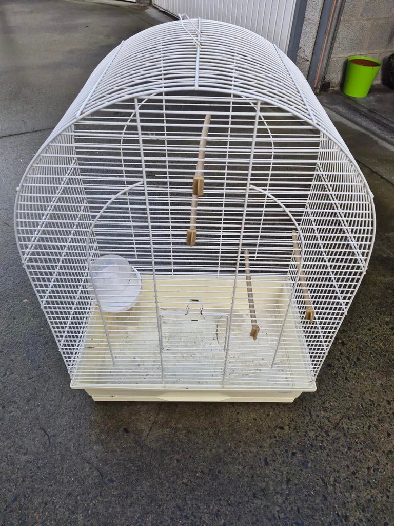 À vendre Birdcage White, Enlèvement, Utilisé, Autres matériaux, Cage à oiseaux