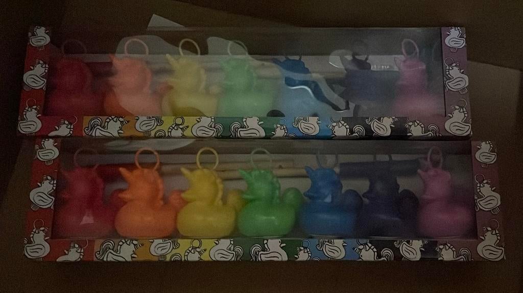 NIEUW Eendjes vissen, 2x 7 eenhoorn eendjes met 2 hengels, Enlèvement, Neuf