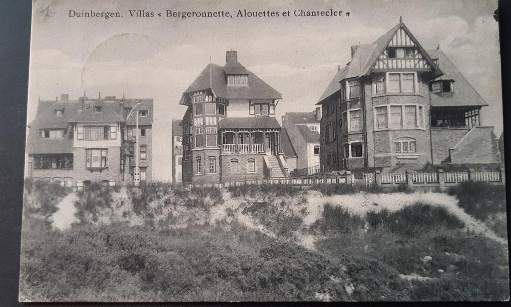 DUINBERGEN VILLAS Alouettes et Bergeronnette, Ophalen of Verzenden