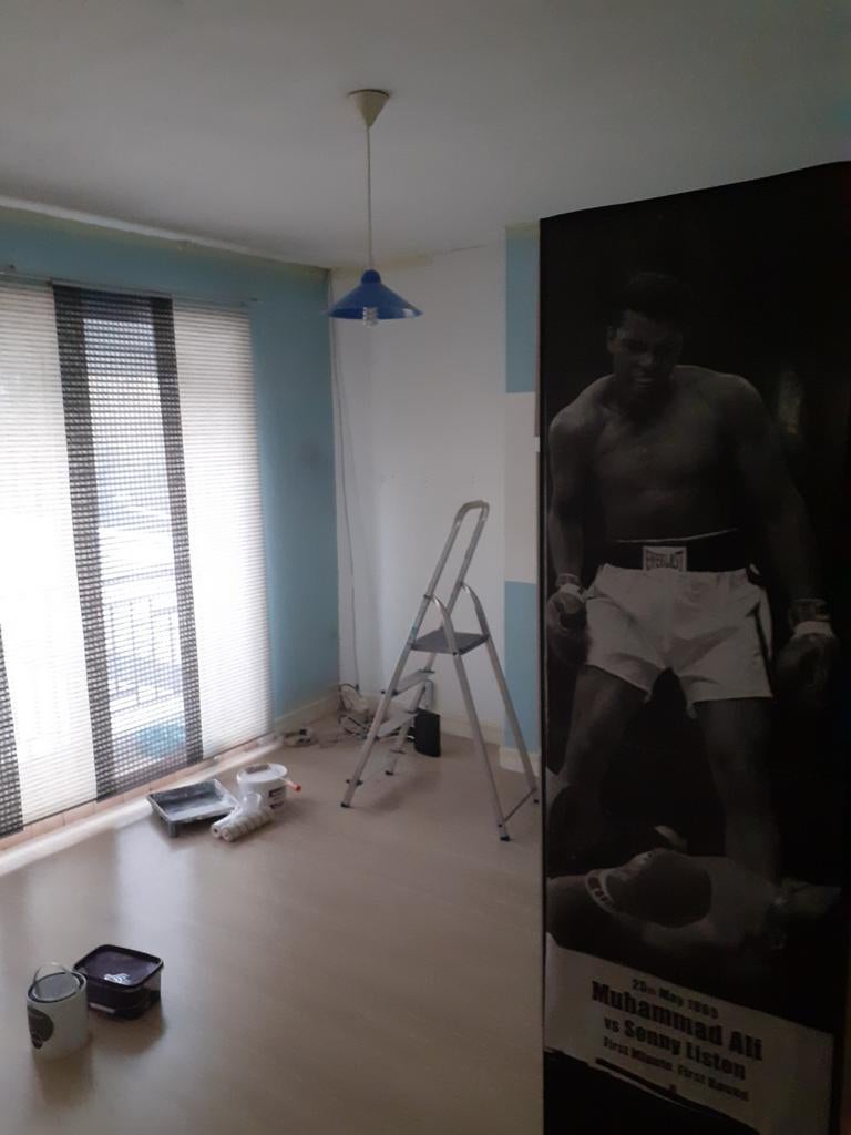 Homme Peintre maison, Immo