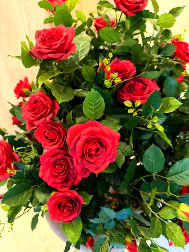 Kunst rozenstruik hoge kwaliteit, Ophalen, Zo goed als nieuw