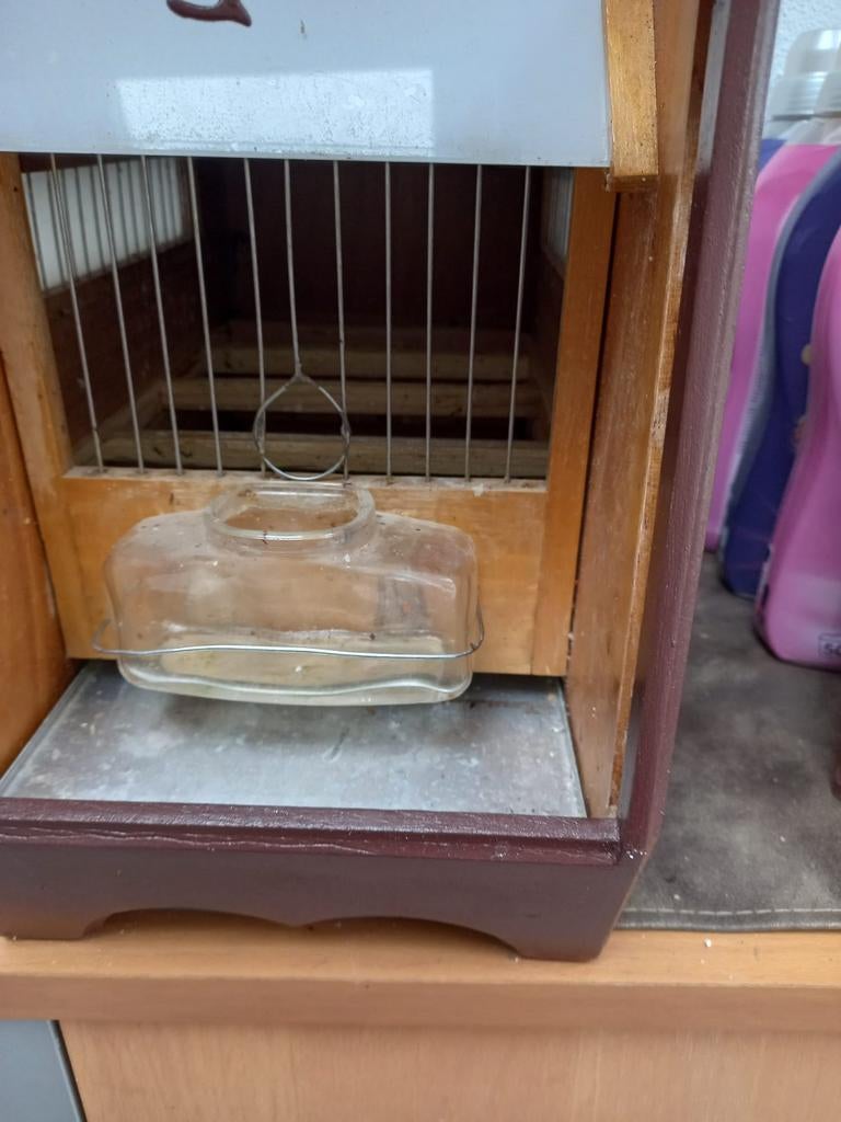 Vinkenkooi 2o eu, Enlèvement