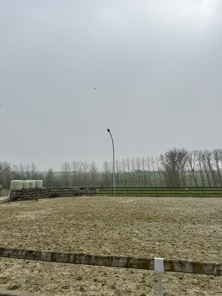 Piste verlichting, Dieren en Toebehoren, Stalling