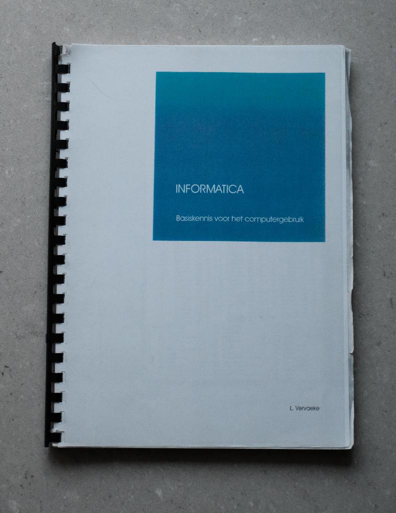 handleiding INFORMATICA en EXCEL 2000, Livres, Informatique & Ordinateur, Enlèvement, Utilisé, Vervaeke Luc (informatica) en Instruct (Excel 2000)