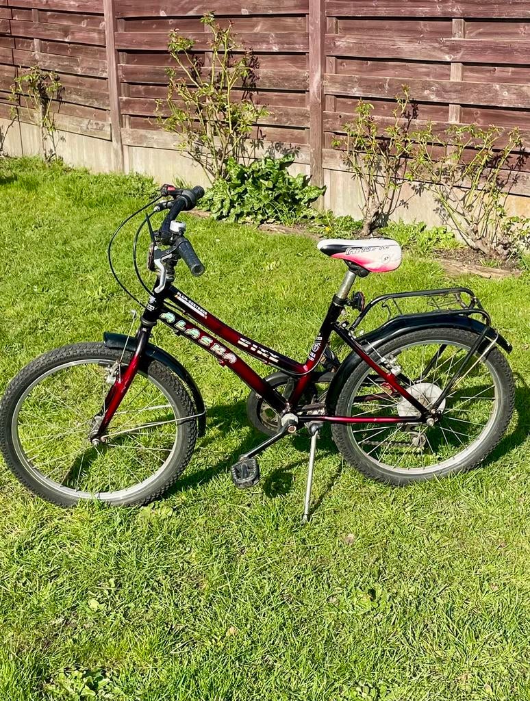 Kinderfiets 20 inch, Fietsen en Brommers, Ophalen, Gebruikt