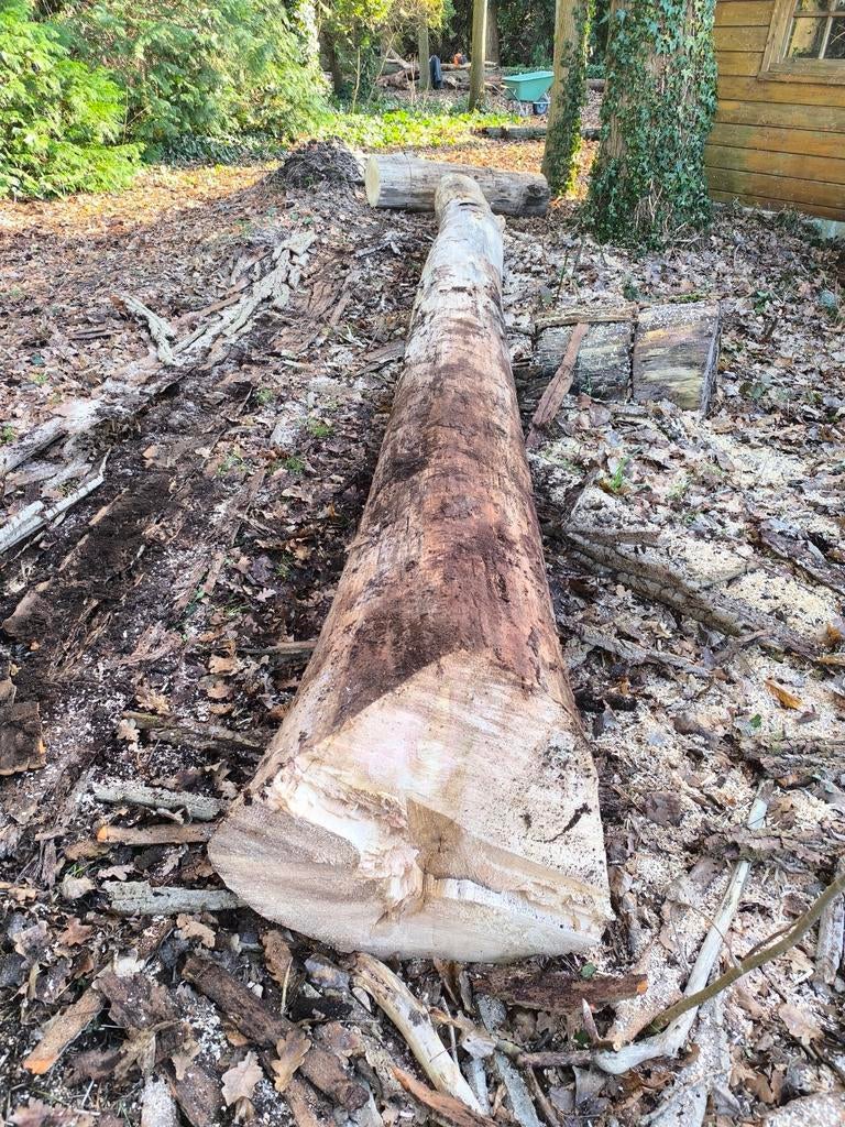 Hout / boomstammen te klieven, Ophalen