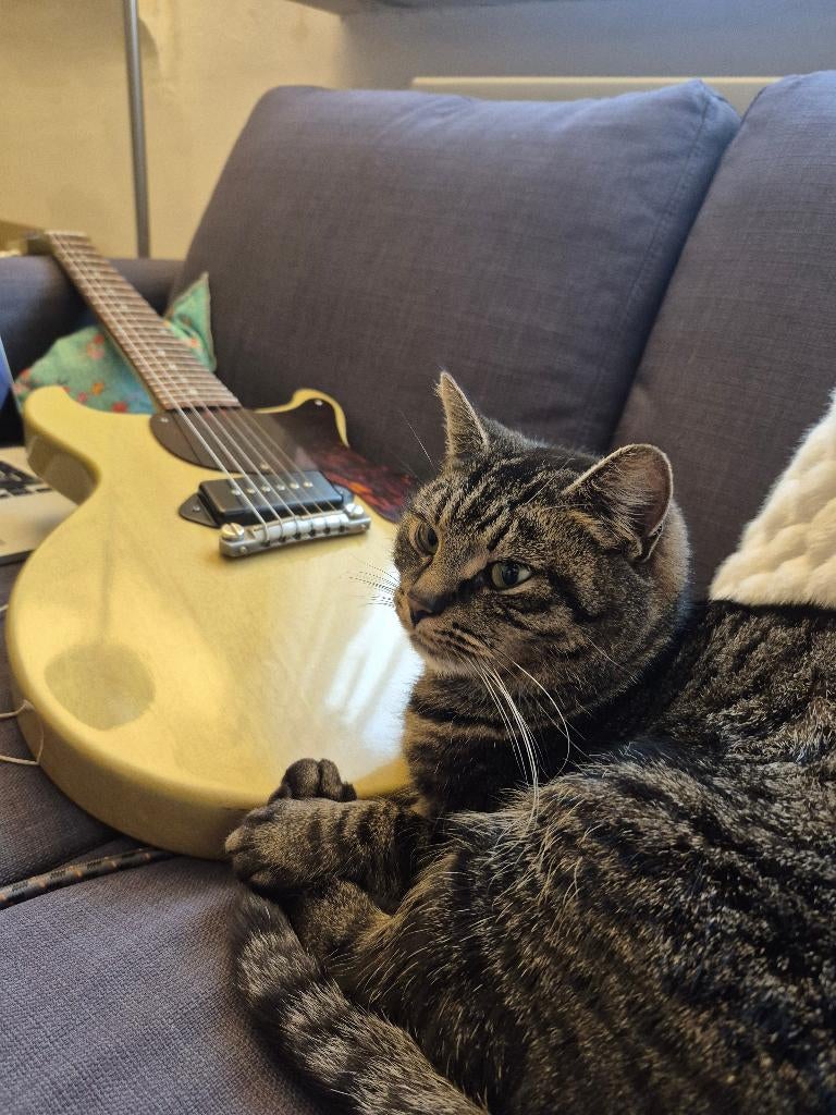 Gibson customshop junior double cut TV yellow, Muziek en Instrumenten, Snaarinstrumenten | Gitaren | Elektrisch, Ophalen, Gebruikt