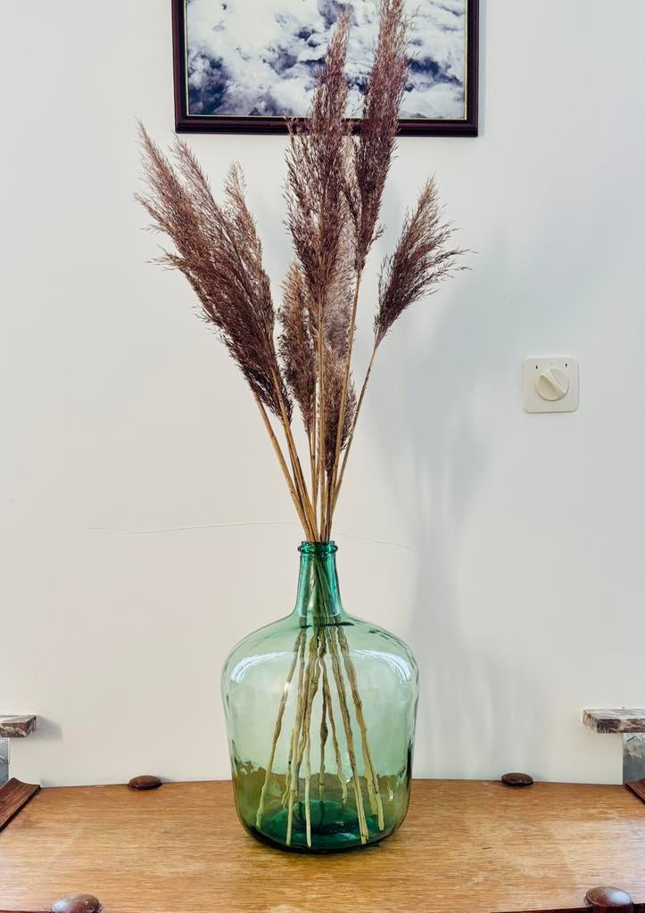 vaas met droge pluimen, nieuw!, Huis en Inrichting, Ophalen, Nieuw