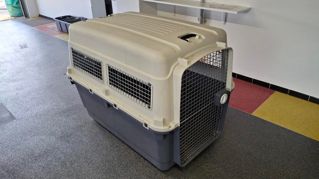 Honden benche kooi chien animaux, Animaux & Accessoires, Enlèvement