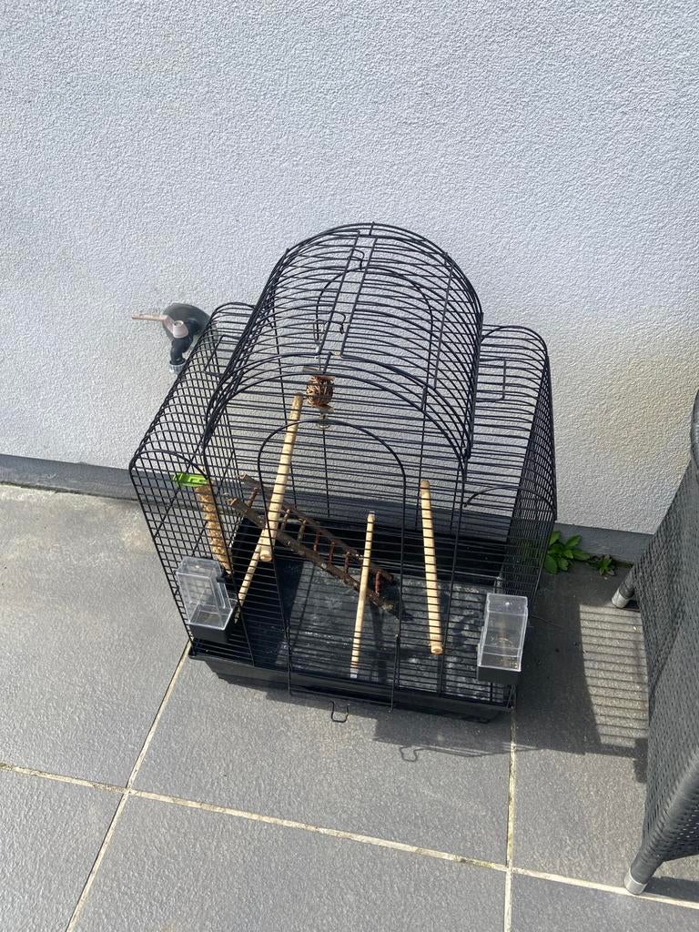 Cage oiseaux, Animaux & Accessoires, Enlèvement, Comme neuf, Cage à oiseaux