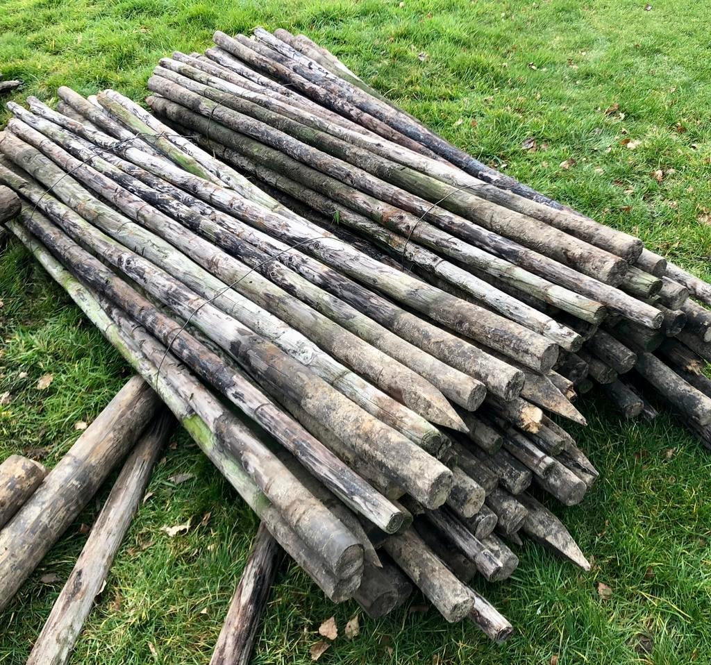 Houten weide palen 250cm x 6 cm, Tuin en Terras, Ophalen, Gebruikt, 250 cm of meer, Palen