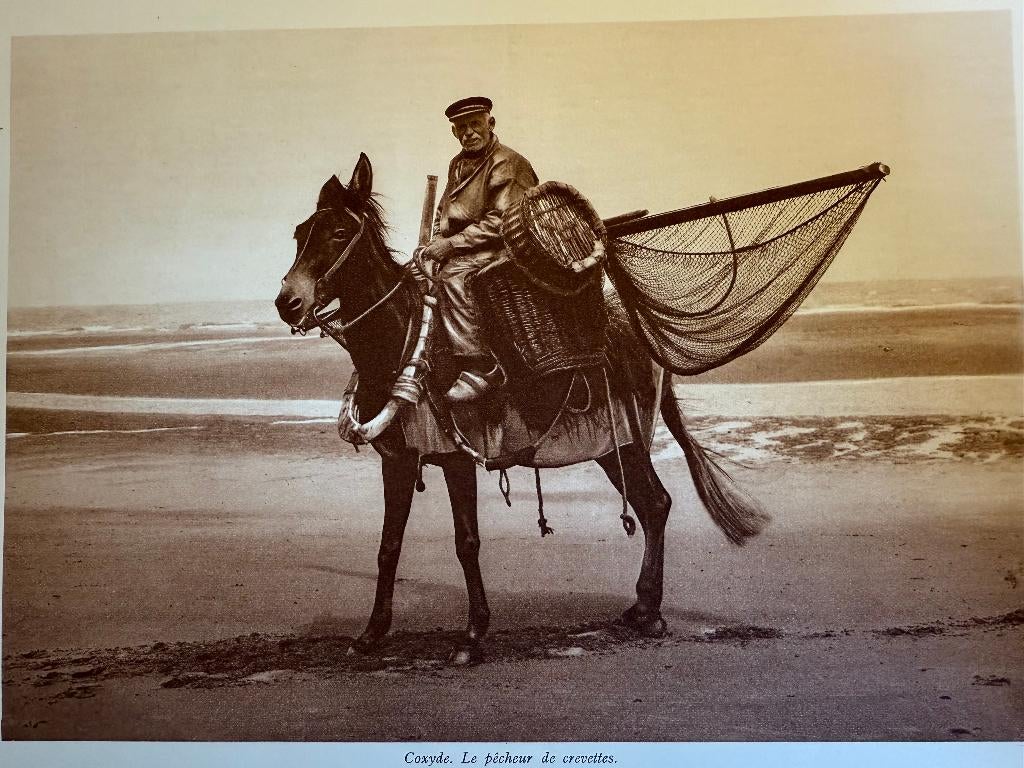 Koksijde. De garnalenvisser, 23 x 17 cm, foto, Verzenden