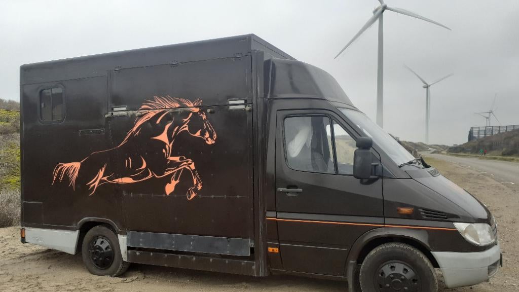 Permis de conduire Mercedes Benz Horse Truck B, Enlèvement, Utilisé, Polyester, Autres types