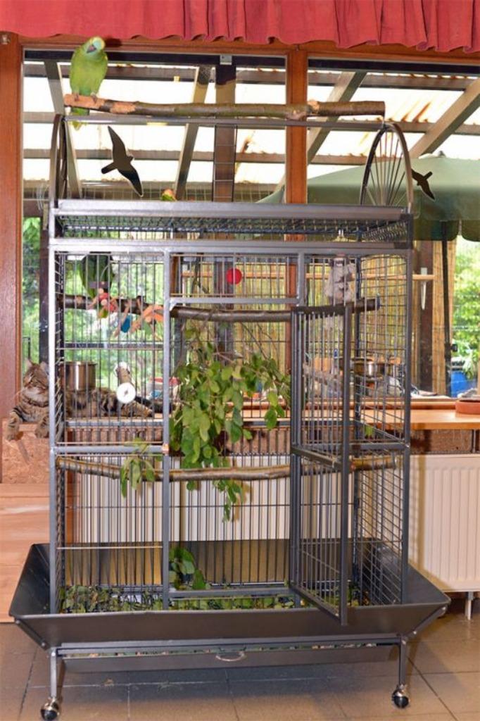 Cage perroquet ARA cage cacatoes cage amazone gris gabon, Animaux & Accessoires, Envoi, Neuf, Bois, Volière