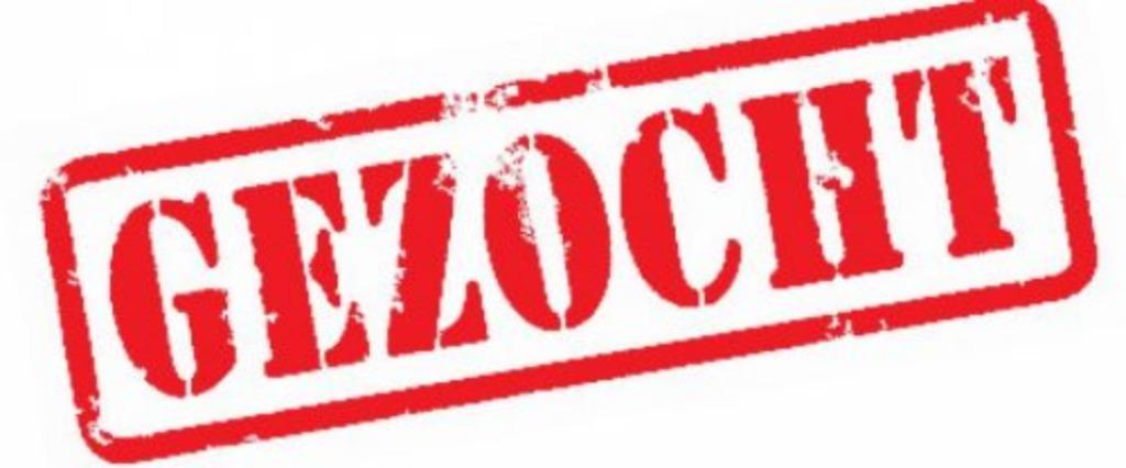 Gezocht: Quarter Horse merrie buckskin / dunskin, Jument, Moins de 160 cm, Cheval western, Avec pedigree