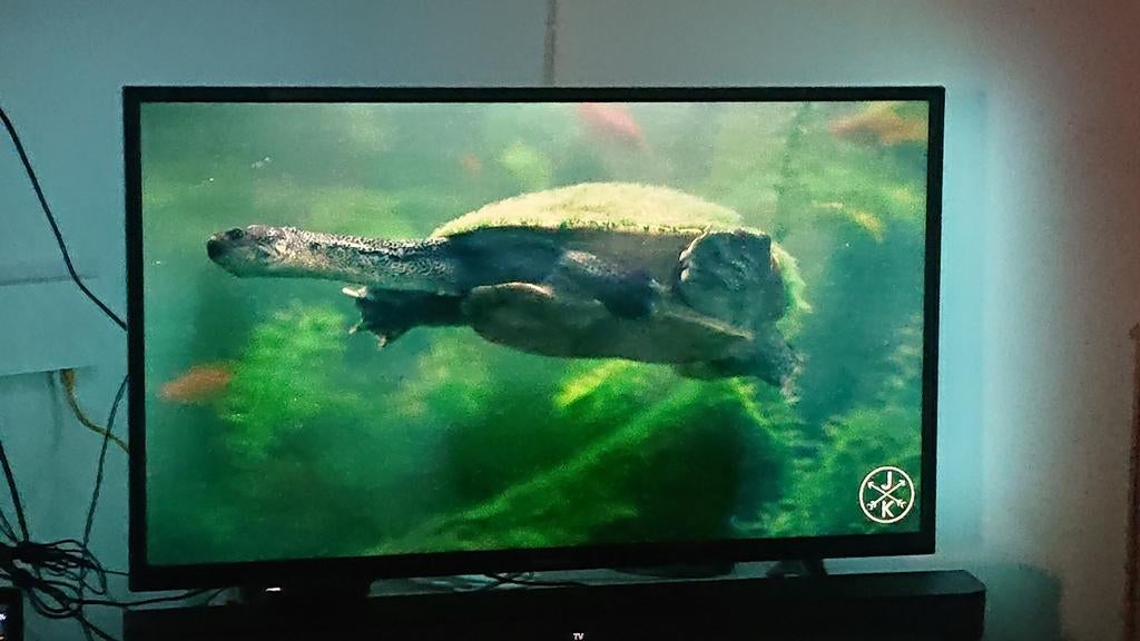 Tv edenwood Led. Smart tv, TV, Hi-fi & Vidéo, Télévisions, Comme neuf, LED, Smart TV, Enlèvement ou Envoi