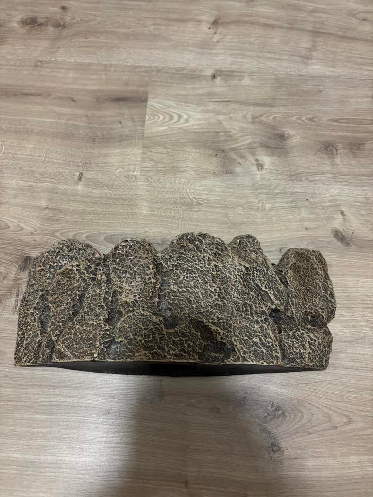 Jewel ornament rots, Dieren en Toebehoren, Ophalen of Verzenden, Zo goed als nieuw