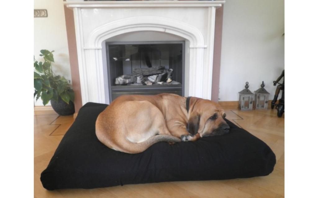 Garnissage à granulés Comfortbag en toile EPS imperméable, Animaux & Accessoires, Accessoires pour chiens, Enlèvement ou Envoi