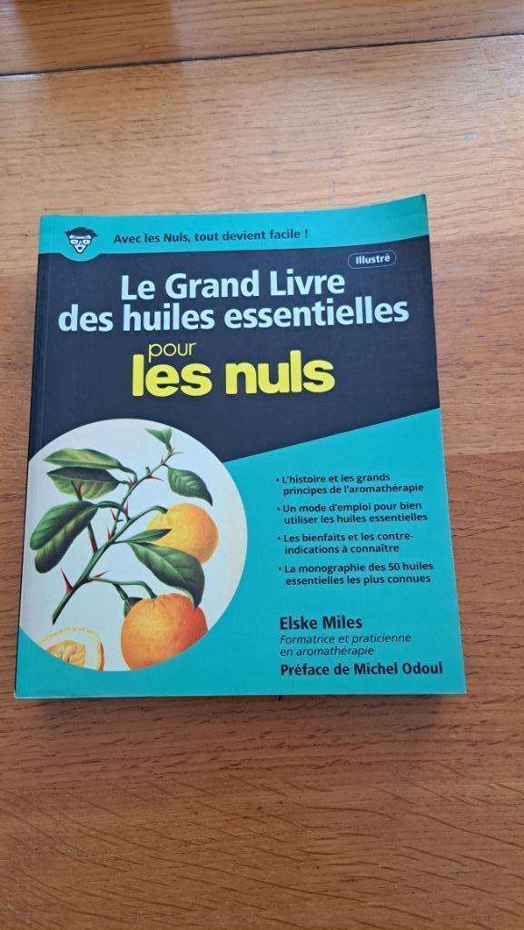 Le grand livre des huiles essentielles pour les nuls, Ophalen of Verzenden, Zo goed als nieuw, Kruiden en Alternatief