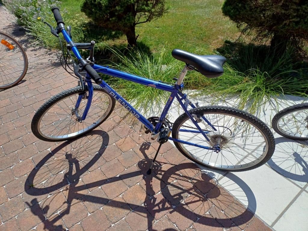 Vtt homme, Vélos & Vélomoteurs, Vélos | Hommes | Vélos pour homme, Enlèvement, Vitesses