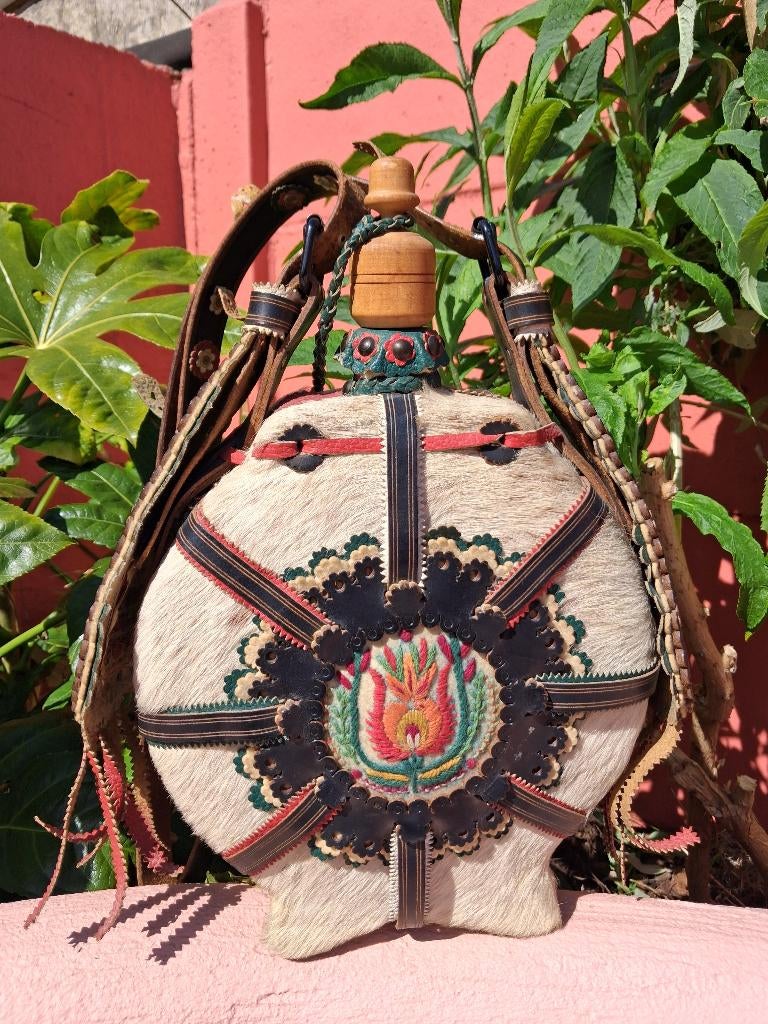 Hongaarse kulac '60-'70, Enlèvement