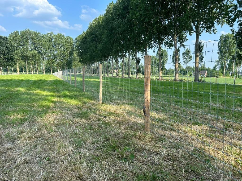 Acacia / Robinia palen 2m op voorraad - A-kwaliteit, Dieren en Toebehoren, Stalling en Weidegang, Weidegang