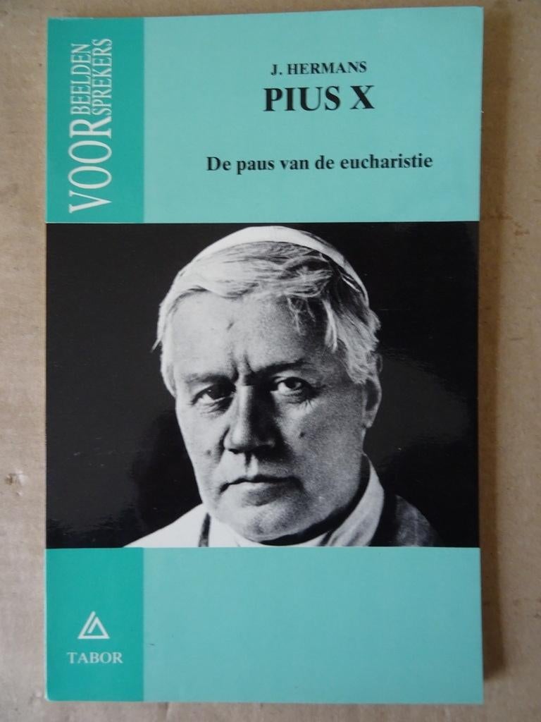 J. Hermans Pius X De paus van de eucharistie 1e druk 1984, J. Hermans, Christendom | Katholiek, Ophalen of Verzenden, Zo goed als nieuw