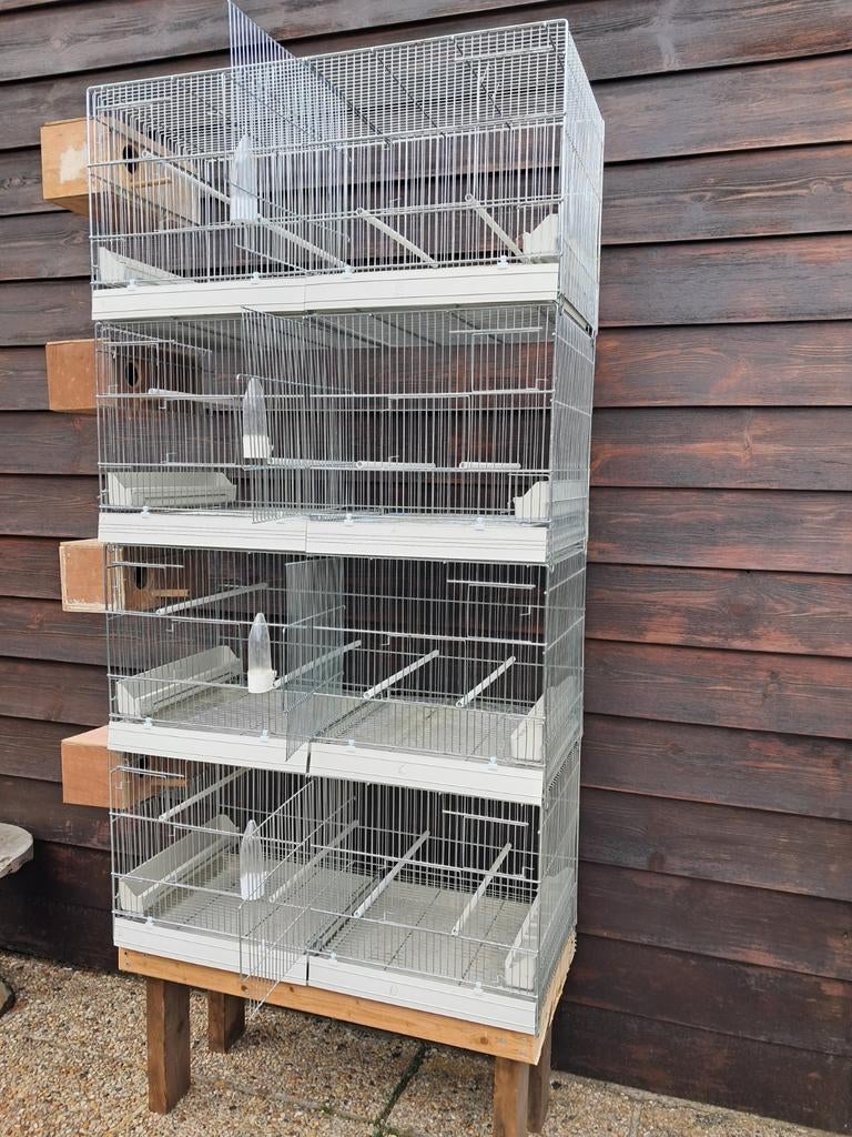 Cages métalliques, Enlèvement