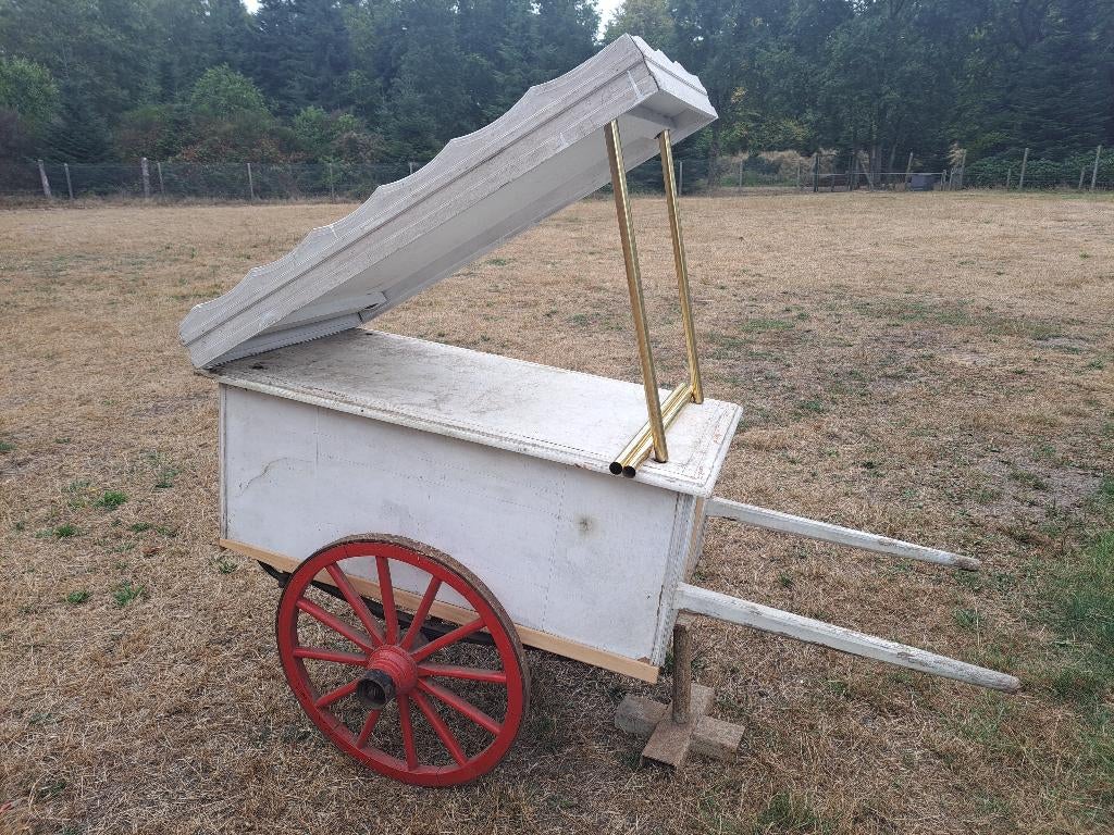 ijskar/bierkar/fruitkar/decoratie kar/bloemenkar, Ophalen