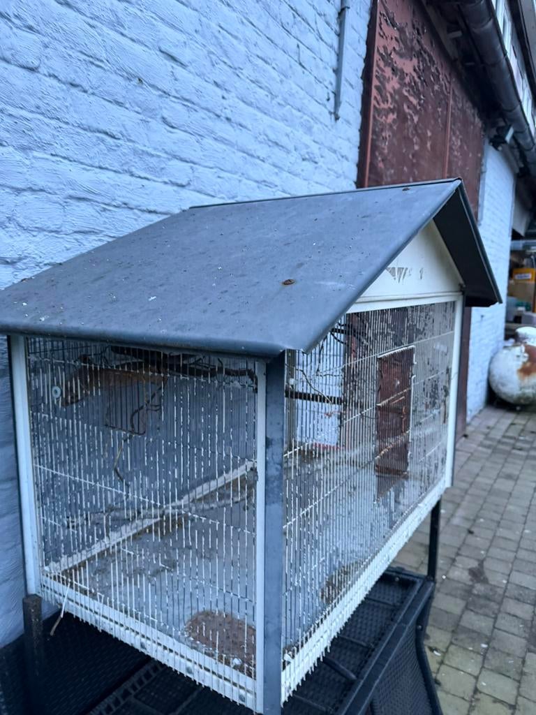 Vogelkooi voor buiten, Ophalen, Gebruikt, Vogelkooi