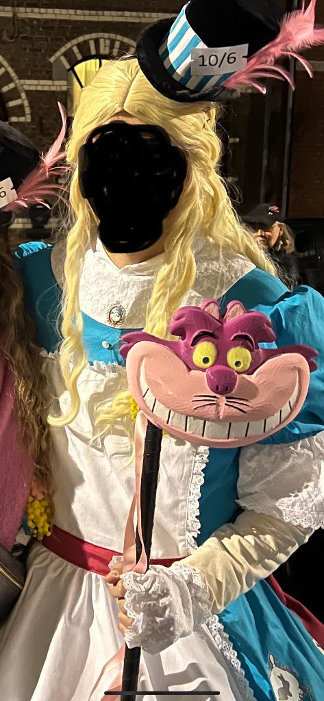 Déguisement carnaval adulte - Alice, Enlèvement, Comme neuf, Costume ou Robe