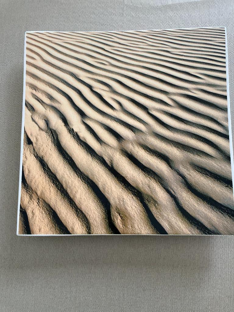 Plat design, Neuf, Enlèvement ou Envoi, Céramique, Autres types