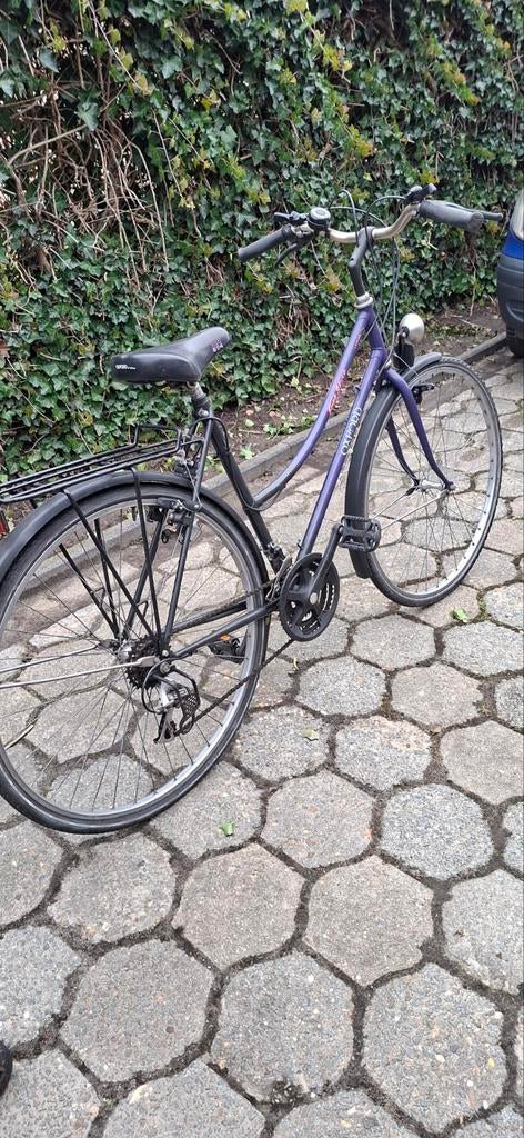 Damesfiets Oxford, Fietsen en Brommers, Ophalen, Versnellingen