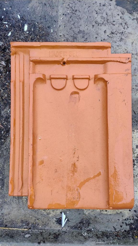 TTR dakpannen, Pierre ou Argile, Enlèvement, Utilisé, Rouge