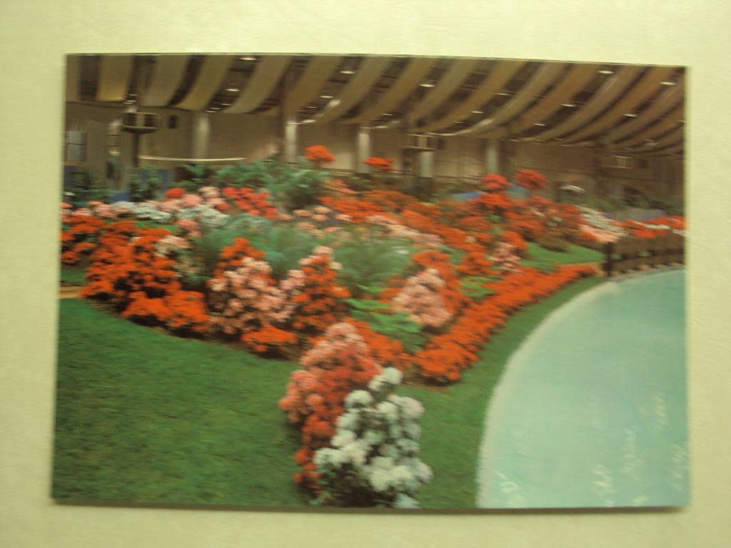 47139 - GENT - GENTSE FLORALIEN, Verzamelen, Verzenden