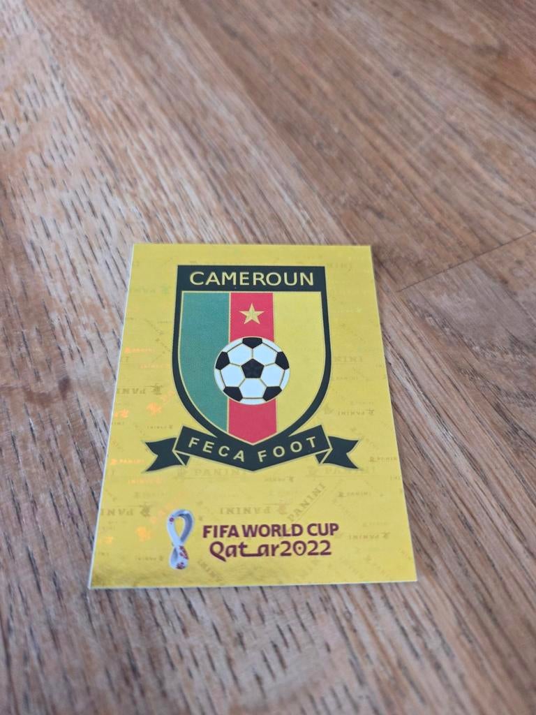 Panini WK 2022, Verzamelen, Sportartikelen en Voetbal, Ophalen of Verzenden