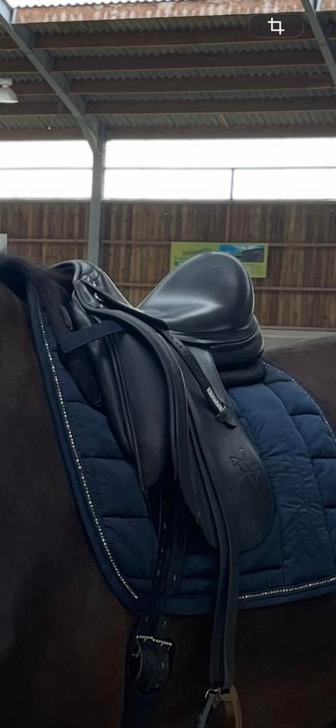Prestige X Helen Dressage Saddle 17" MW, Ophalen of Verzenden, Zo goed als nieuw, Dressuur
