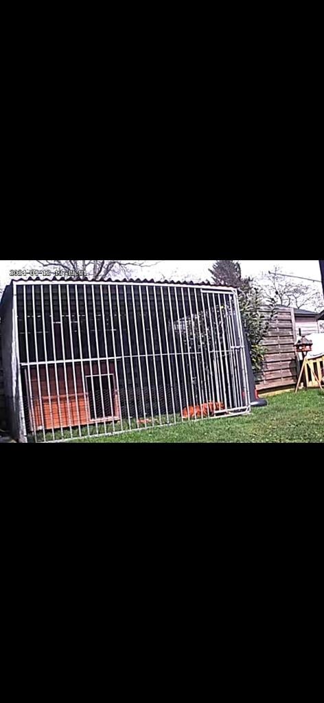 Hondenren buiten 2x3 met afdak 1.84cm hoog, Animaux & Accessoires, Maisons pour chiens, Comme neuf, Chenil chien, 100 cm ou plus