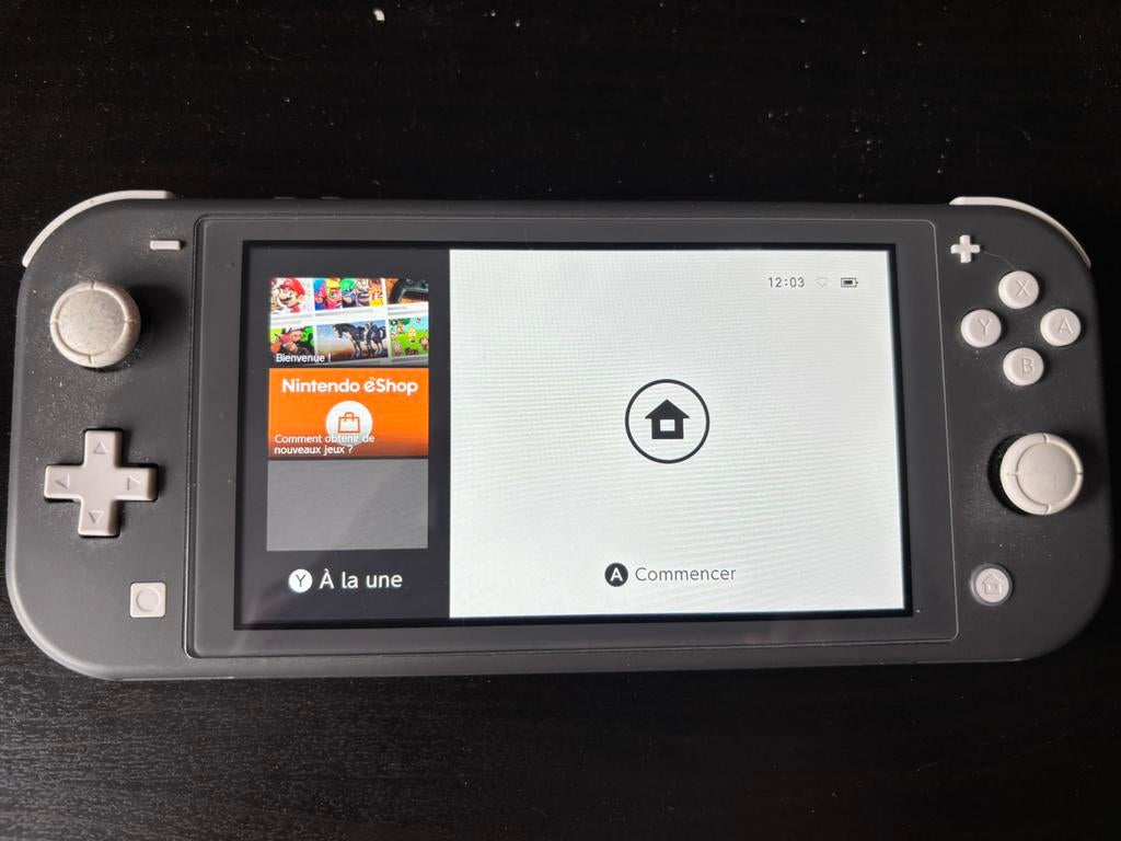 Nintendo switch lite, Games en Spelcomputers, Spelcomputers | Nintendo Switch Lite, Ophalen, Grijs, Zo goed als nieuw