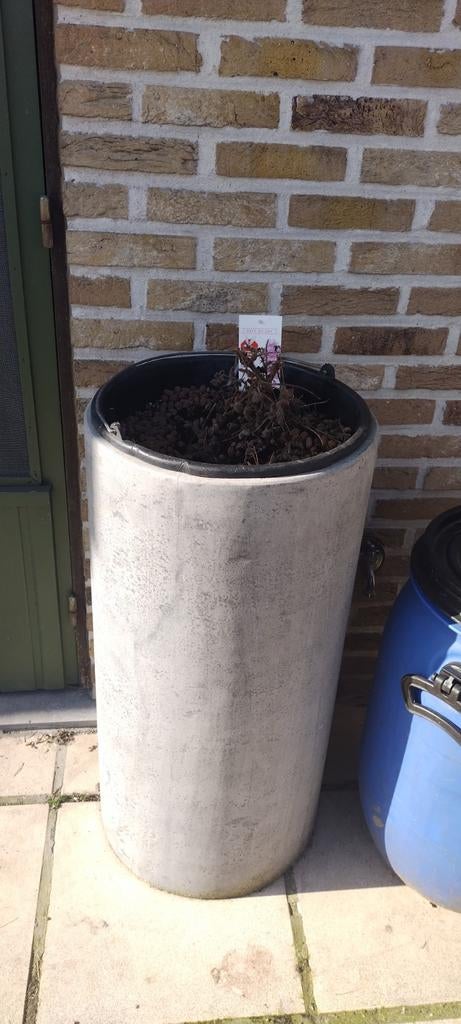 Bloembak steen, Enlèvement, Pierre