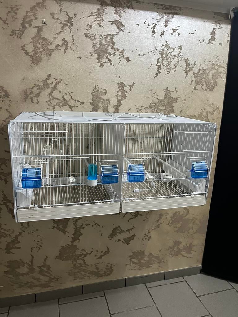 Cage Domus-Molinari 90cm blanche, Dieren en Toebehoren, Ophalen, Nieuw, Overige materialen, Broedkooi of Kweekkooi