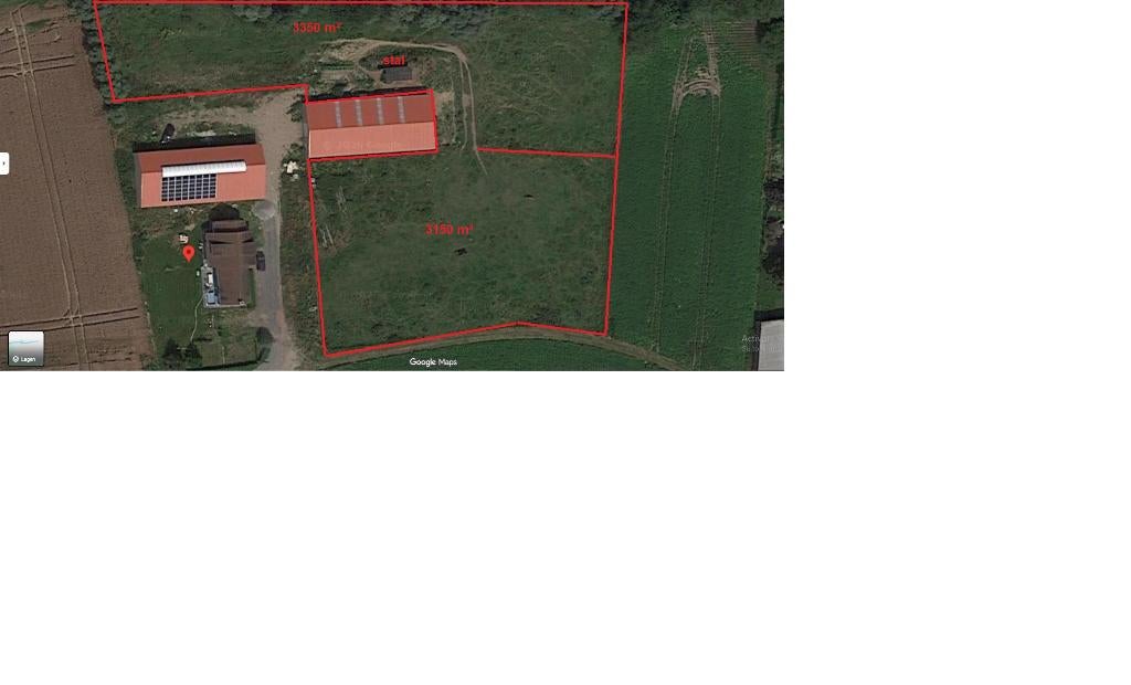 weide te huur, Pâturage, 2 ou 3 chevaux ou poneys