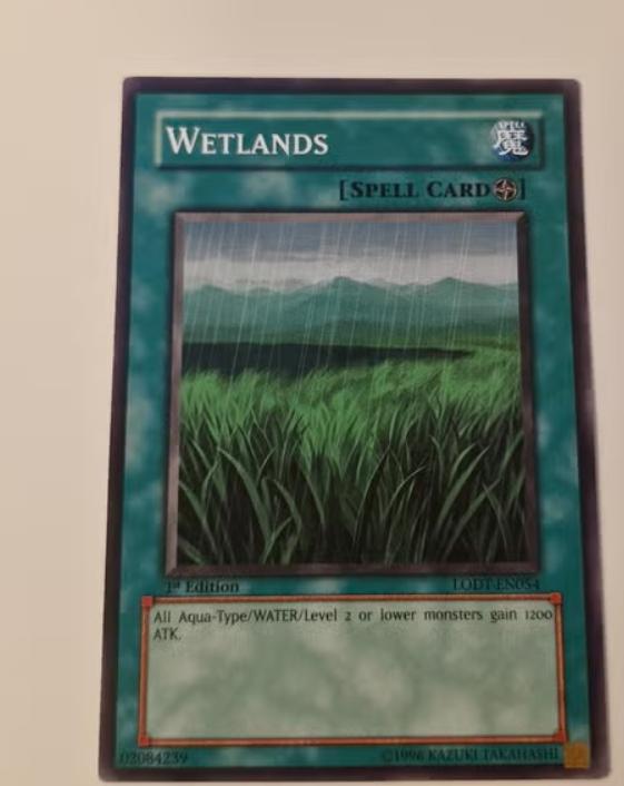 Yu-Gi-Oh ! Carte orthographique Wetlands, 1re édition LODT, Enlèvement ou Envoi, Comme neuf