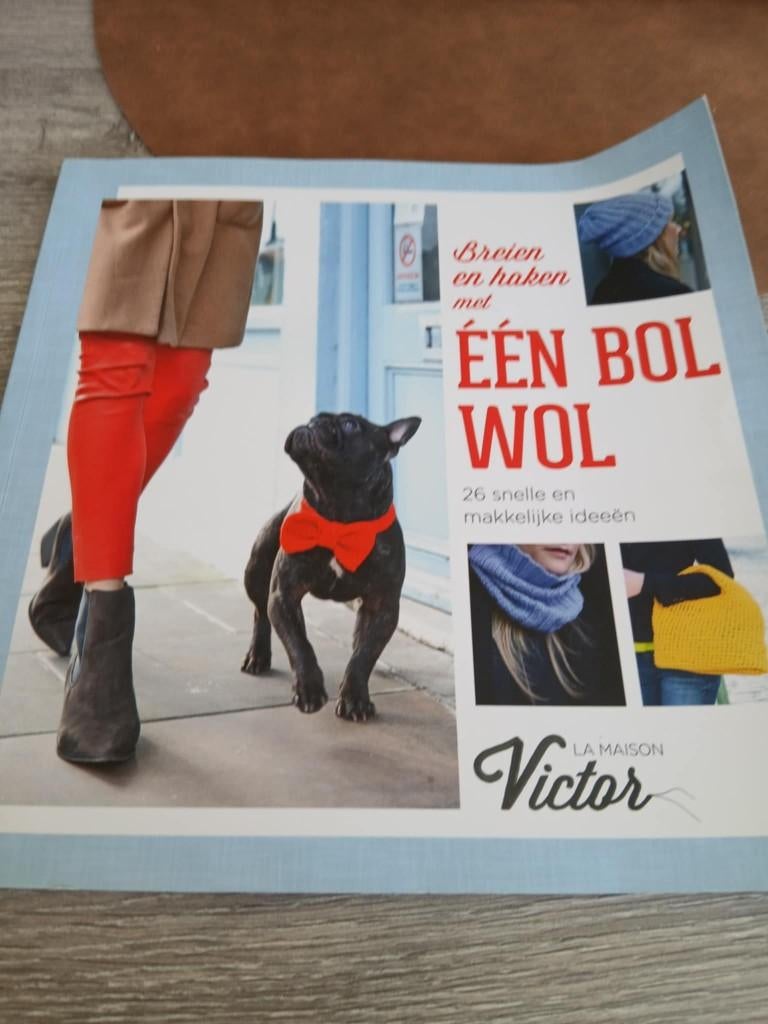 Breien en haken met één bol wol boek, Livres, Loisirs & Temps libre, Enlèvement, Tricot et Crochet